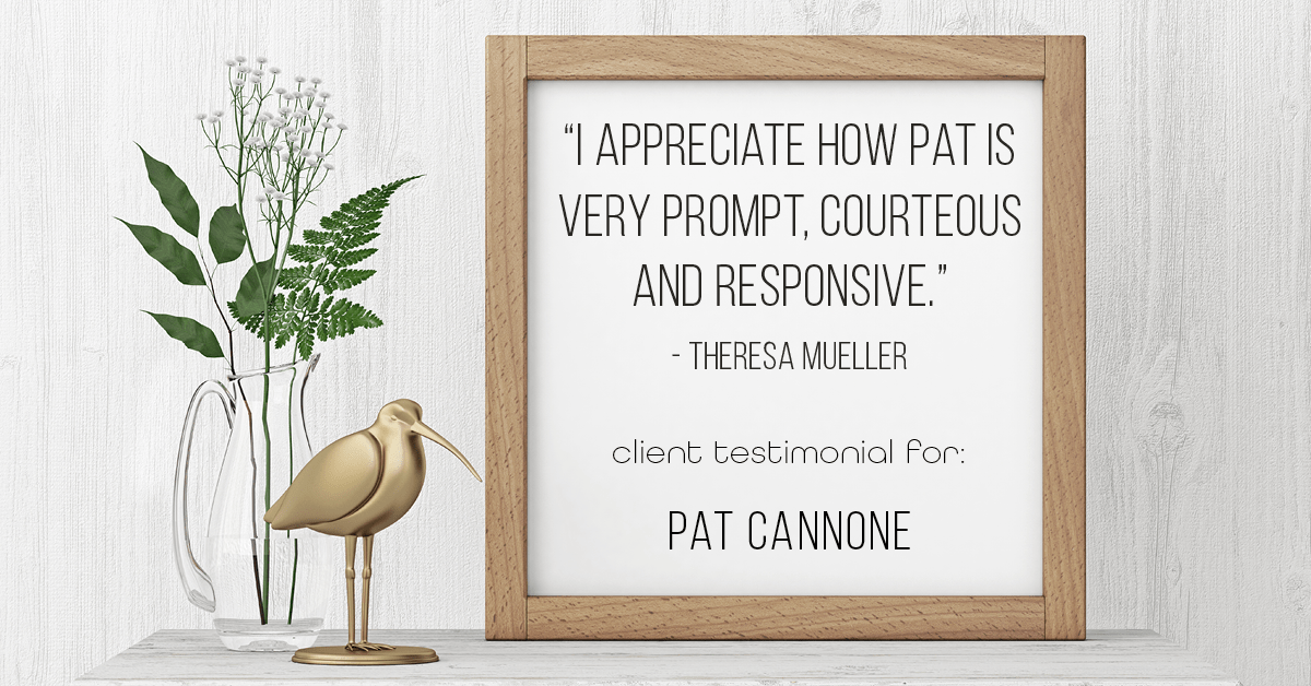 Testimonial for mortgage professional Pat Cannone in , : "I appreciate how Pat is very prompt, courteous and responsive." - Theresa Mueller
