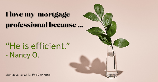 Testimonial for mortgage professional Pat Cannone in Northbrook, IL: Love My MP: "He is efficient." - Nancy O.