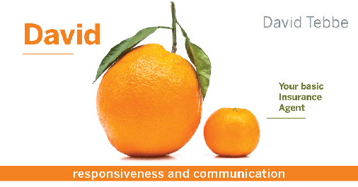 Testimonial for insurance professional Dave Tebbe in , : Happiness Meter: Oranges