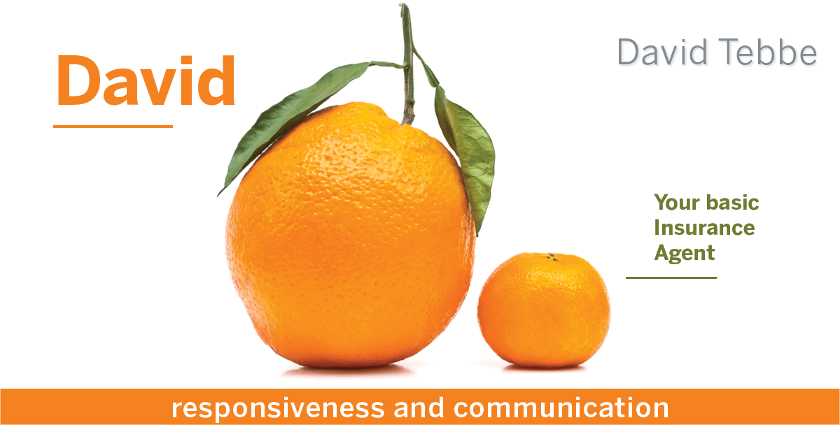 Testimonial for insurance professional Dave Tebbe in , : Happiness Meter: Oranges