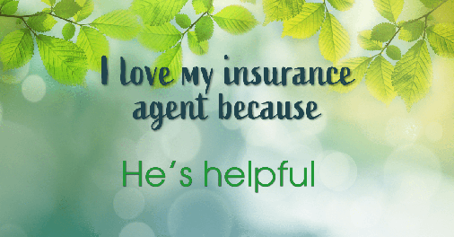 Testimonial for insurance professional Dave Tebbe in , : Love my insurance agent: