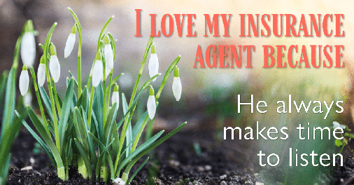 Testimonial for insurance professional Dave Tebbe in , : Love my insurance agent: Makes time to listen