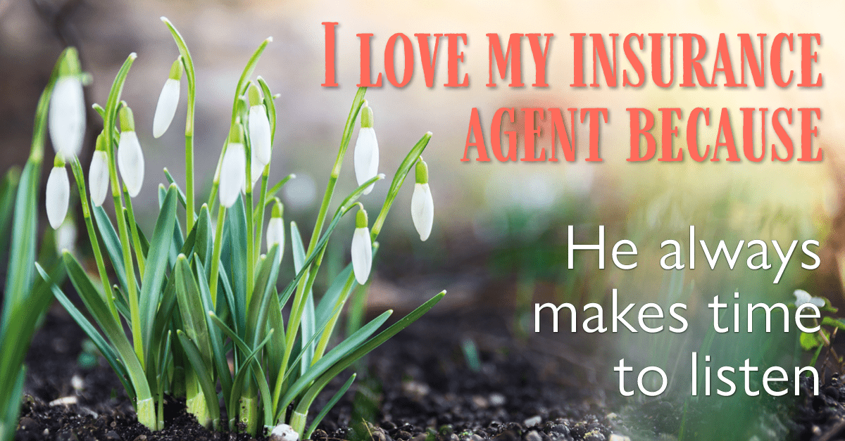 Testimonial for insurance professional Dave Tebbe in , : Love my insurance agent: Makes time to listen