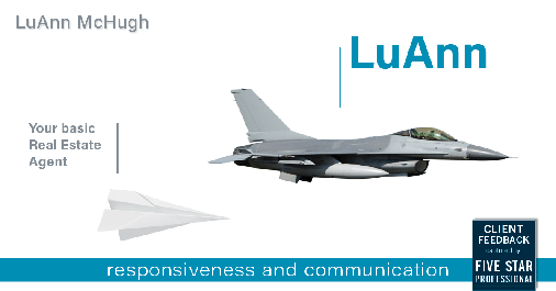 Testimonial for real estate agent LuAnn McHugh in Coatesville, PA: Happiness Meter: Airplanes