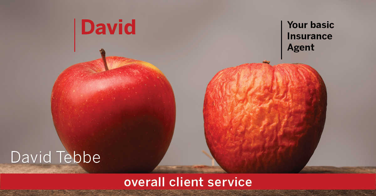 Testimonial for insurance professional Dave Tebbe in , : Happiness Meter: Apples