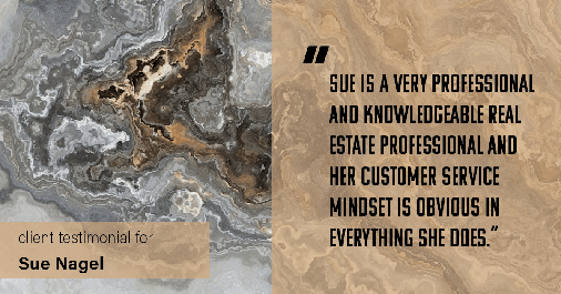 Testimonial for real estate agent Sue Nagel with LW Reedy Real Estate in Elmhurst, IL: "Sue is a very professional and knowledgeable real estate professional and her customer service mindset is obvious in everything she does."