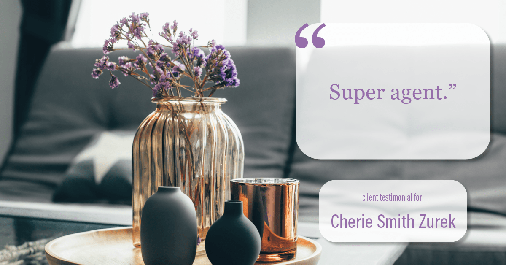 Testimonial for real estate agent Cherie Smith Zurek with RE/MAX in Lake Zurich, IL: "Super agent."