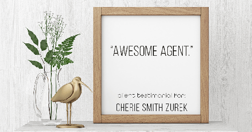 Testimonial for real estate agent Cherie Smith Zurek with RE/MAX in Lake Zurich, IL: "Awesome agent."