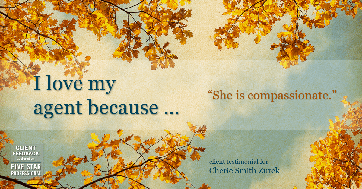 Testimonial for real estate agent Cherie Smith Zurek with RE/MAX in Lake Zurich, IL: Love My Agent: "She is compassionate."