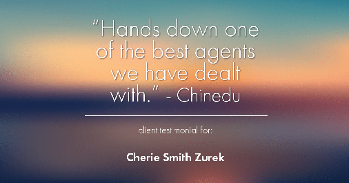 Testimonial for real estate agent Cherie Smith Zurek with RE/MAX in Lake Zurich, IL: "Hands down one of the best agents we have dealt with." - Chinedu