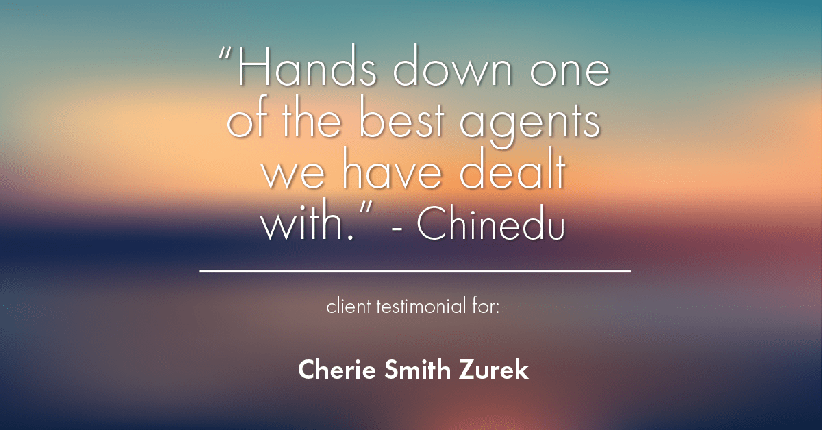 Testimonial for real estate agent Cherie Smith Zurek with RE/MAX in Lake Zurich, IL: "Hands down one of the best agents we have dealt with." - Chinedu