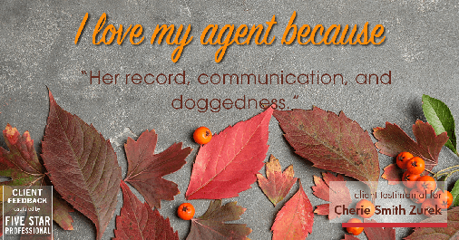 Testimonial for real estate agent Cherie Smith Zurek with RE/MAX in Lake Zurich, IL: Love My Agent: "Her record, communication, and doggedness."