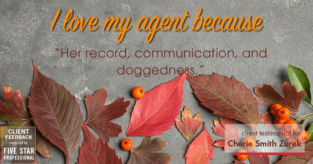 Testimonial for real estate agent Cherie Smith Zurek with RE/MAX in Lake Zurich, IL: Love My Agent: "Her record, communication, and doggedness."