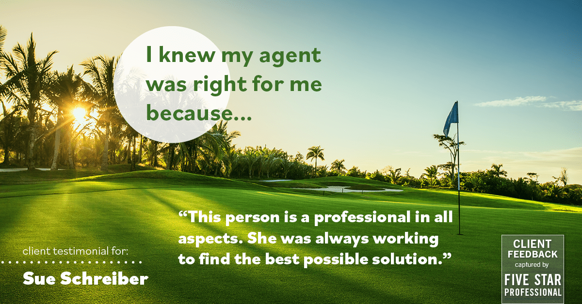 Testimonial for real estate agent Sue Schreiber in , : Right Agent: "This person is a professional in all aspects. She was always working to find the best possible solution."