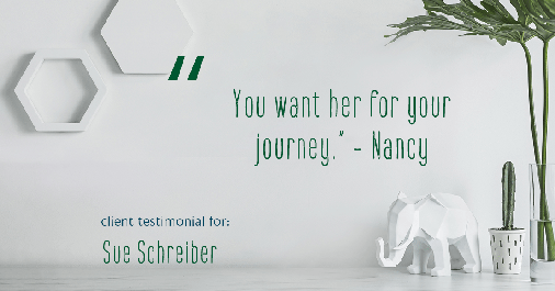 Testimonial for real estate agent Sue Schreiber in , : "You want her for your journey." - Nancy