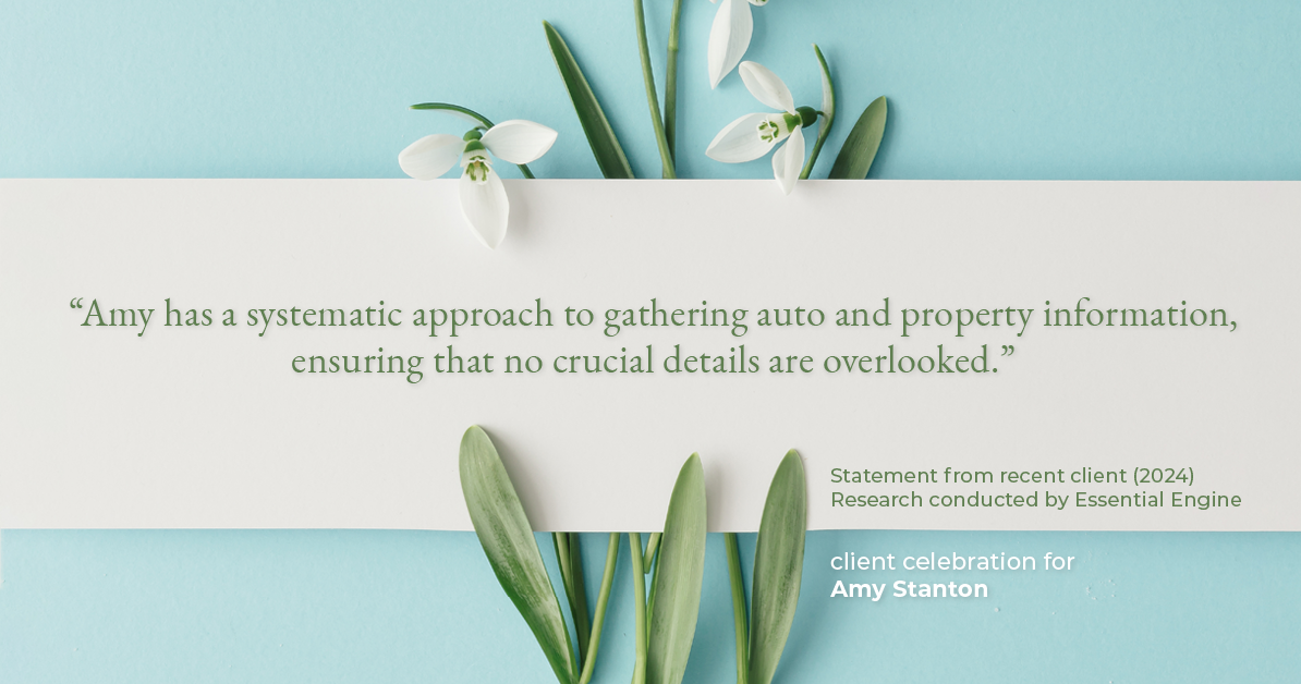 Testimonial for insurance professional Amy Stanton with Stanton Insurance in , : "Amy has a systematic approach to gathering auto and property information, ensuring that no crucial details are overlooked."