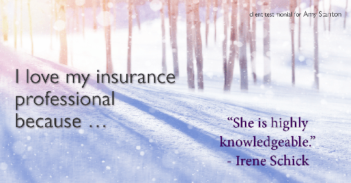 Testimonial for insurance professional Amy Stanton with Stanton Insurance in Littleton, CO: Love My HA: "She is highly knowledgeable." - Irene Schick