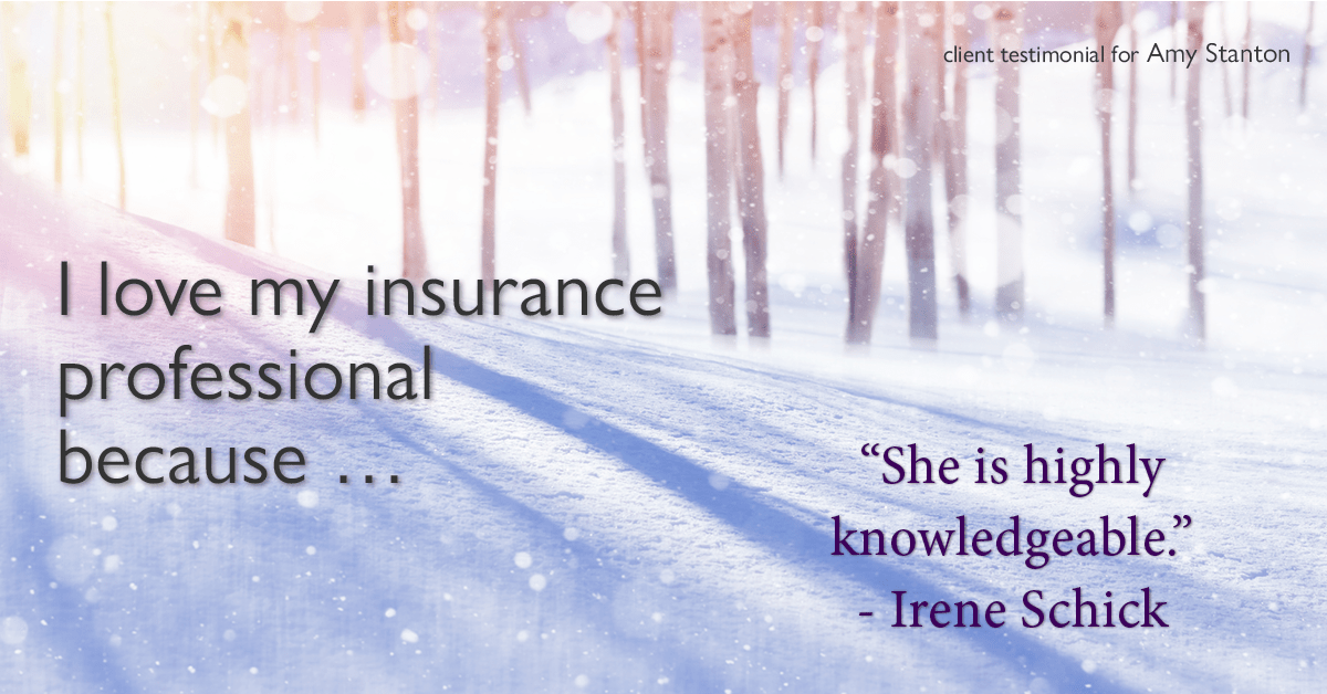 Testimonial for insurance professional Amy Stanton with Stanton Insurance in , : Love My HA: "She is highly knowledgeable." - Irene Schick
