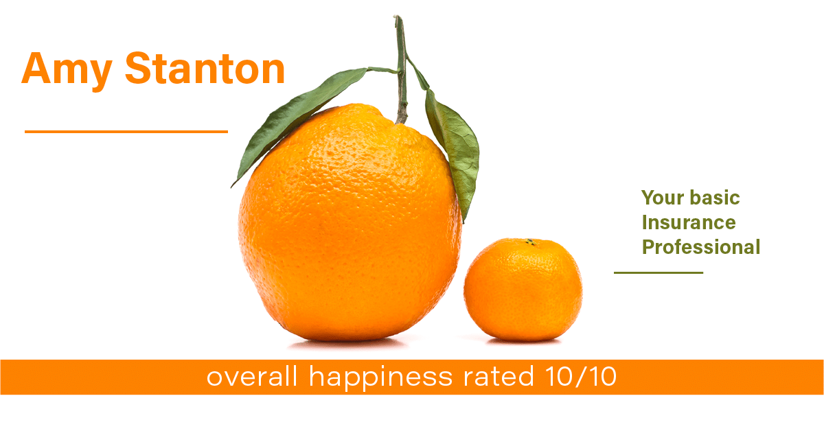 Testimonial for insurance professional Amy Stanton with Stanton Insurance in , : Happiness Meters: Oranges (overall happiness)