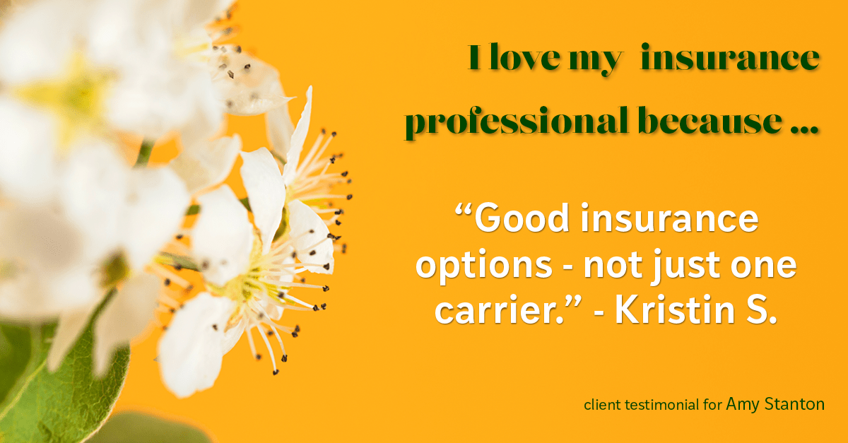 Testimonial for insurance professional Amy Stanton with Stanton Insurance in Littleton, CO: Love My HA: "Good insurance options - not just one carrier." - Kristin S.