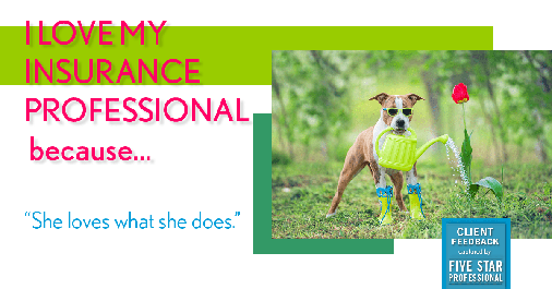 Testimonial for insurance professional Amy Stanton with Stanton Insurance in Littleton, CO: Love My Insurance Professional: "She loves what she does."