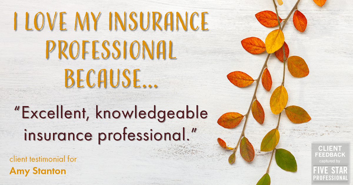 Testimonial for insurance professional Amy Stanton with Stanton Insurance in , : Love My IP: "Excellent, knowledgeable insurance professional."