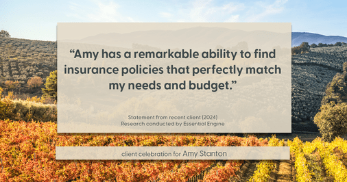 Testimonial for insurance professional Amy Stanton with Stanton Insurance in , : "Amy has a remarkable ability to find insurance policies that perfectly match my needs and budget."