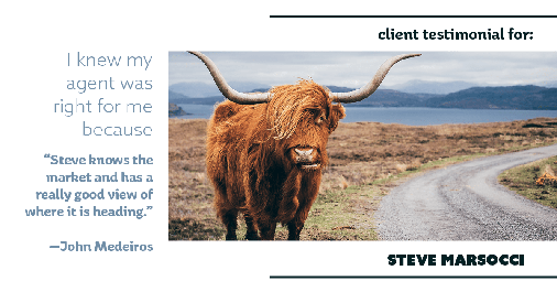 Testimonial for real estate agent Steve Marsocci in East Greenwich, RI: Right Agent: "Steve knows the market and has a really good view of where it is heading." - John Medeiros