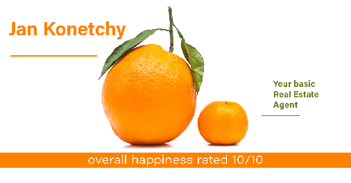 Testimonial for real estate agent Jan Konetchy in Waxhaw, NC: Happiness Meters: Oranges 10/10 (overall happiness)