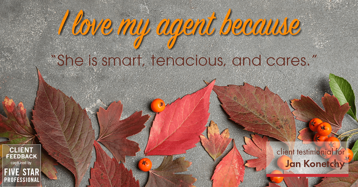 Testimonial for real estate agent Jan Konetchy in Charlotte, NC: Love my Agent: "She is smart, tenacious, and cares."