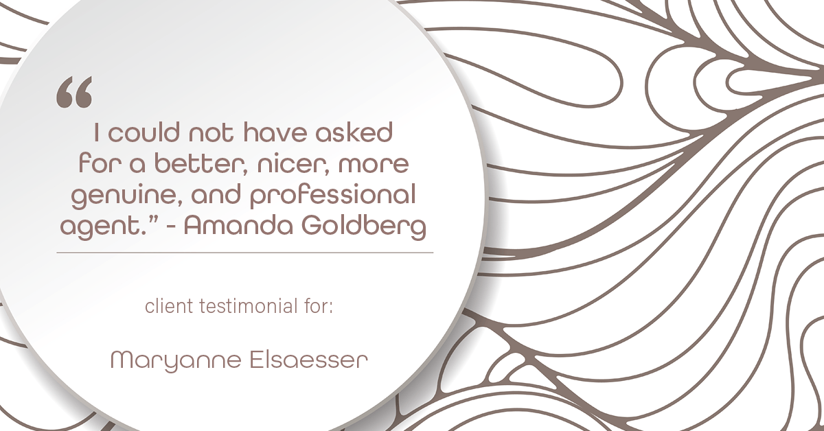 Testimonial for real estate agent Maryanne Elsaesser in , : "I could not have asked for a better, nicer, more genuine, and professional agent." - Amanda Goldberg