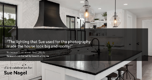 Testimonial for real estate agent Sue Nagel with LW Reedy Real Estate in Elmhurst, IL: "The lighting that Sue used for the photography made the house look big and roomy!"