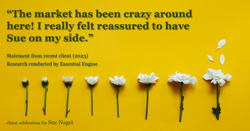Testimonial for real estate agent Sue Nagel with LW Reedy Real Estate in Elmhurst, IL: "The market has been crazy around here! I really felt reassured to have Sue on my side."