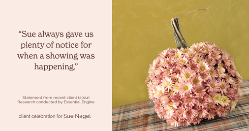 Testimonial for real estate agent Sue Nagel with LW Reedy Real Estate in Elmhurst, IL: "Sue always gave us plenty of notice for when a showing was happening."