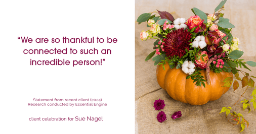 Testimonial for real estate agent Sue Nagel with LW Reedy Real Estate in Elmhurst, IL: "We are so thankful to be connected to such an incredible person!"