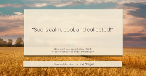 Testimonial for real estate agent Sue Nagel with LW Reedy Real Estate in Elmhurst, IL: "Sue is calm, cool, and collected!"