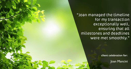 Testimonial for real estate agent Joan Mancini with Mancini Realty in Somers, NY: "Joan managed the timeline for my transaction exceptionally well, ensuring that all milestones and deadlines were met smoothly."