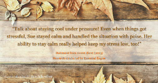 Testimonial for real estate agent Sue Schreiber in , : "Talk about staying cool under pressure! Even when things got stressful, Sue stayed calm and handled the situation with poise. Her ability to stay calm really helped keep my stress low, too!"