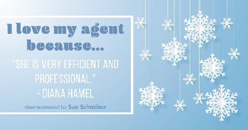 Testimonial for real estate agent Sue Schreiber in , : Love My Agent: "She is very efficient and professional." - Diana Hamel