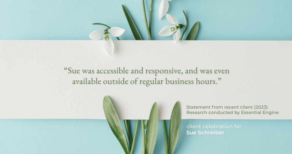 Testimonial for real estate agent Sue Schreiber in , : "Sue was accessible and responsive, and was even available outside of regular business hours."