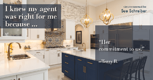 Testimonial for real estate agent Sue Schreiber in , : Right Agent: "Her commitment to us." - Terry B.