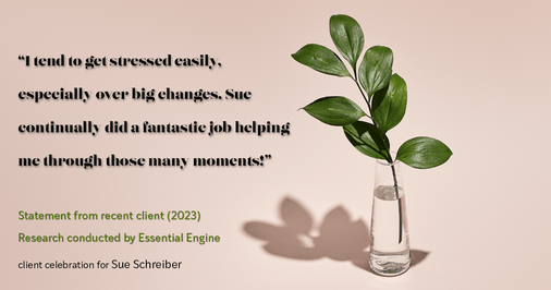 Testimonial for real estate agent Sue Schreiber in , : "I tend to get stressed easily, especially over big changes. Sue continually did a fantastic job helping me through those many moments!"