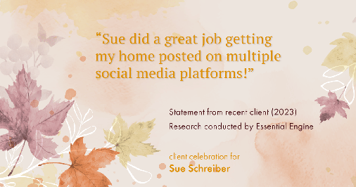 Testimonial for real estate agent Sue Schreiber in , : "Sue did a great job getting my home posted on multiple social media platforms!"