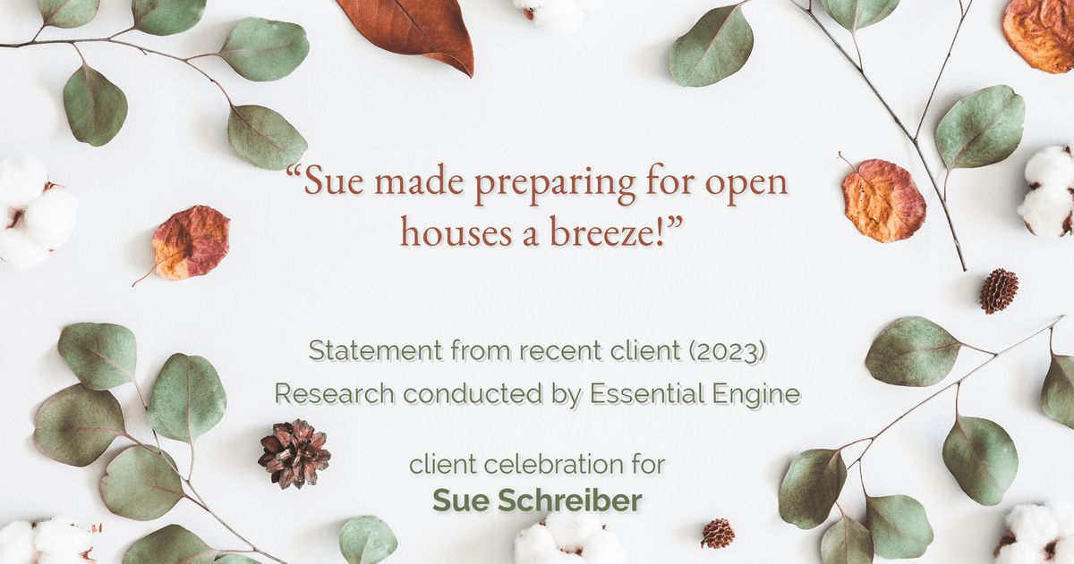 Testimonial for real estate agent Sue Schreiber in , : "Sue made preparing for open houses a breeze!"