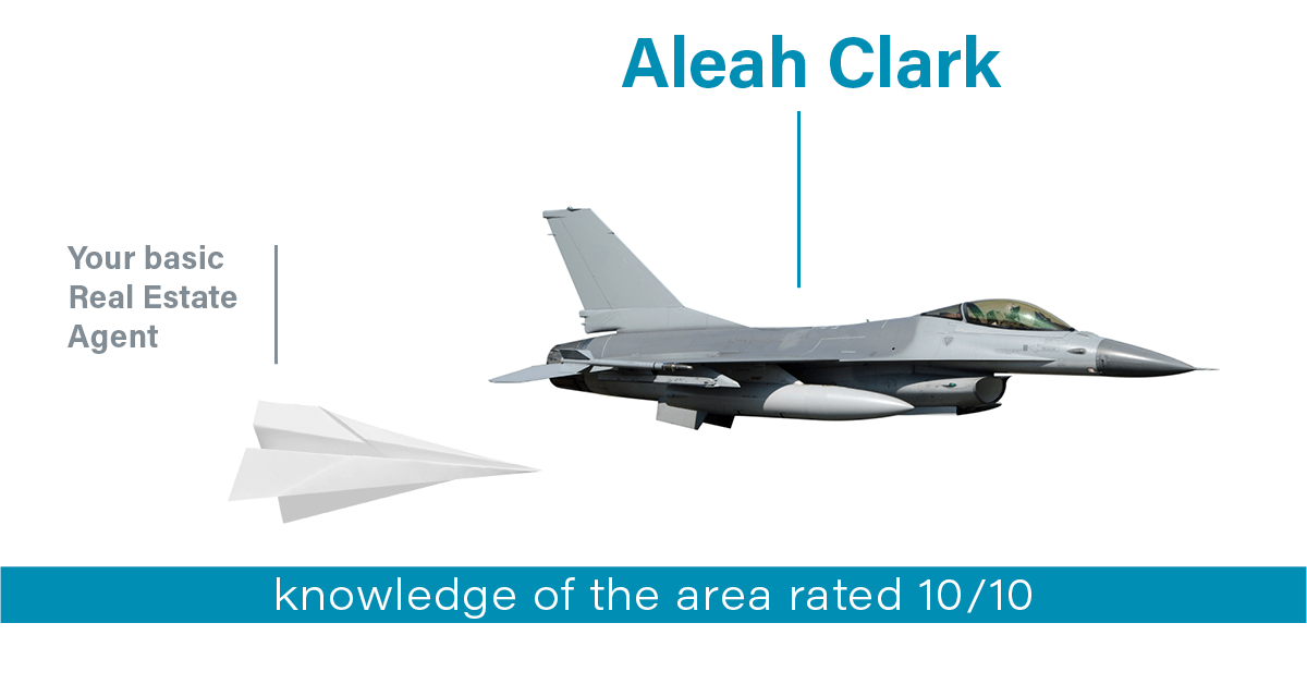 Testimonial for real estate agent Aleah Clark in , : Happiness Meters: Planes 10/10 (knowledge of the area)