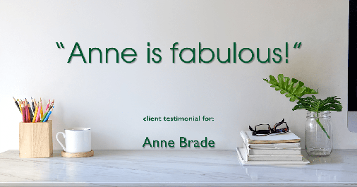 Testimonial for real estate agent Anne Brade in Charlotte, NC: "Anne is fabulous!"