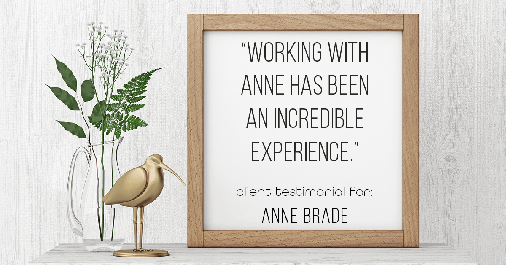 Testimonial for real estate agent Anne Brade in Charlotte, NC: "Working with Anne has been an incredible experience."
