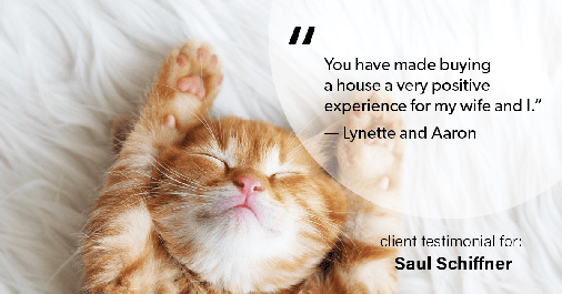 Testimonial for mortgage professional Saul Schiffner in Bothell, WA: "You have made buying a house a very positive experience for my wife and I." - Lynette and Aaron
