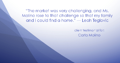 Testimonial for real estate agent Carla Molino with Coldwell Banker Realty in San Diego, CA: "The market was very challenging, and Ms. Molino rose to that challenge so that my family and I could find a home." - Leah Teglovic