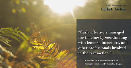 Testimonial for real estate agent Carla L. Molino with Coldwell Banker Realty in San Diego, CA: "Carla effectively managed the timeline by coordinating with lenders, inspectors, and other professionals involved in the transaction."